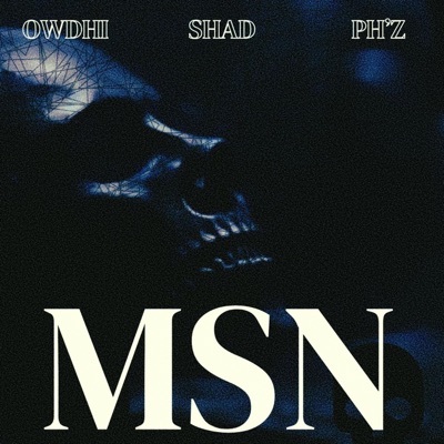 MSN (feat. Owdhi & Ph'z) - Single