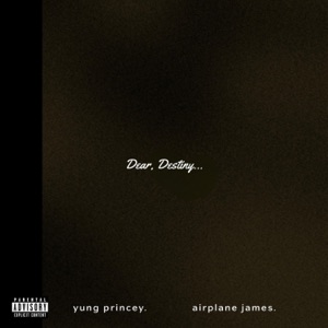Dear, Destiny... (feat. Airplane James)