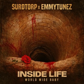 Inside life (feat. Emmytunez) Surdtorp
