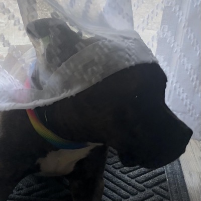 Hey, You (feat. waterbug) - Single