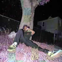 INSIDE MY LSD PENTHOUSE - EP - AVIATOR