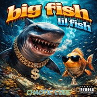 Big fish lil fish - Single - Chaotic Code