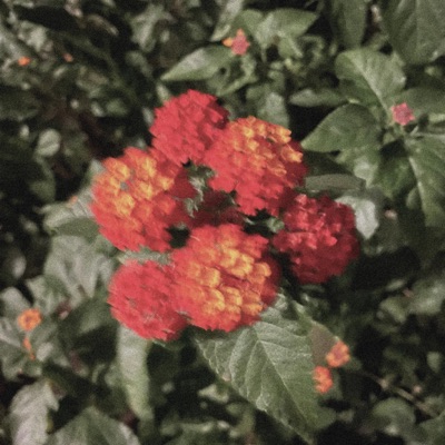 fix you - Single