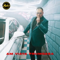 Am viata frumoasa - Single - Sorinel Pustiu & Midas MNL