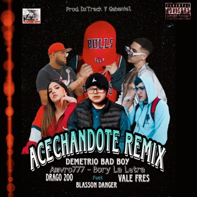 Acechandote (Remix) [feat. BORY LA LETRA, Blasson Danger, amvro777, VALE FRES & Drago200] - Single