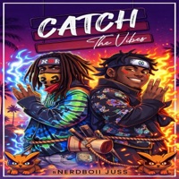 Catch The Vibes (feat. NerdBoiiJuss) - Single - SoloKingJu