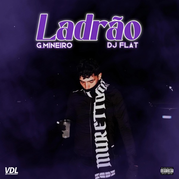 Ladrão (feat. VDL Entertainment) - Single