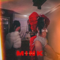 Quavo - Mink