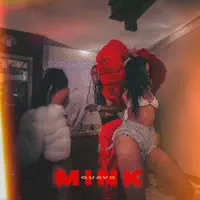 Mink — Quavo