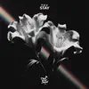 Stay