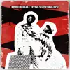 Bruno Robles - Trying Something New