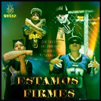 ESTAMOS FIRMES (feat. THE SELER, TEROCK MHM, SOOKO LOKOTE & MONEY HOUSE MUSIC) - Single - O.G. DINERO