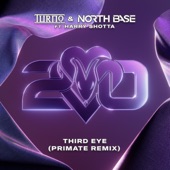 Third Eye (feat. Harry Shotta) [Primate Remix] artwork