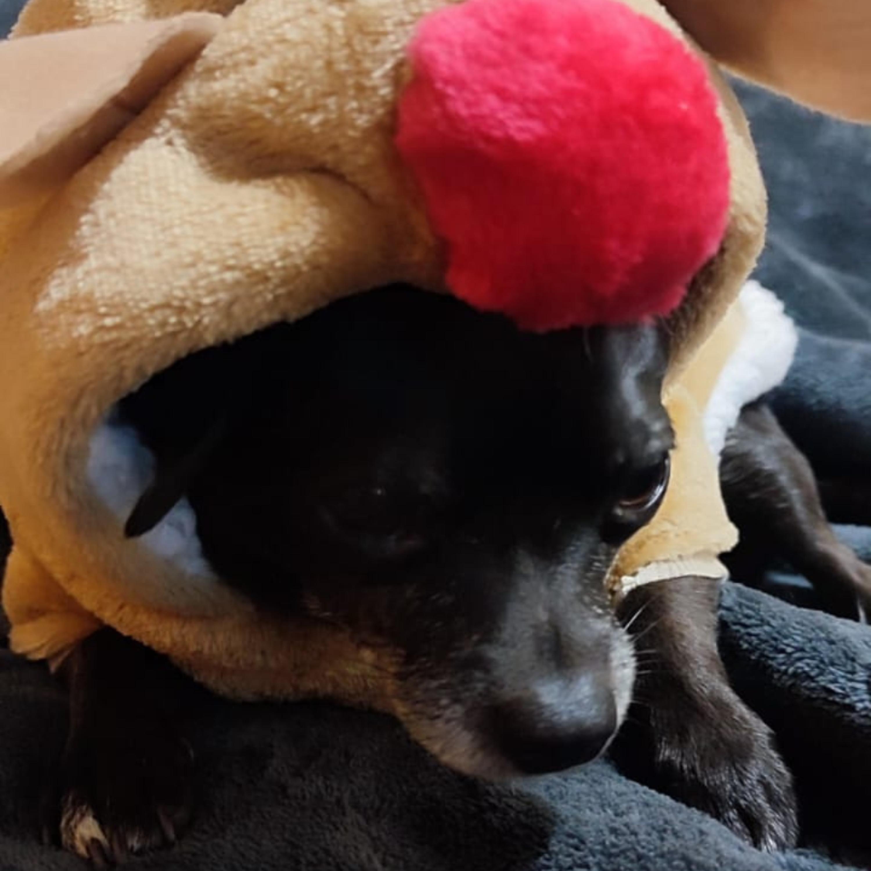 14 - TecnoMerengue - Fernando Lucas Dj 0986866988 Maestro Aguja