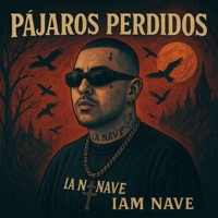 PAJARAROS PERDIDOS (feat. IAM NAVE) [IAM NAVE ALBUM PROCER] - Single - NAVE SESSION