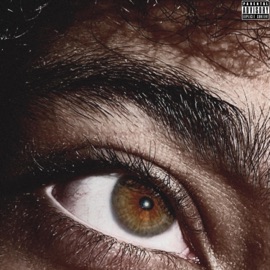 Yin And Yang (feat. SamIsSome1) LDThaGoat