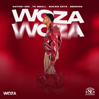 Woza - Single - Nation-365, Bukzin Keyz, Tk.Small & Senzo02