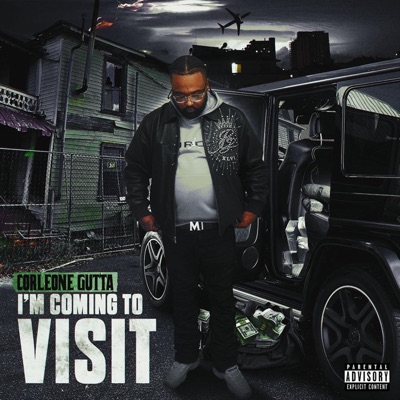 Im Comin To Visit - Single