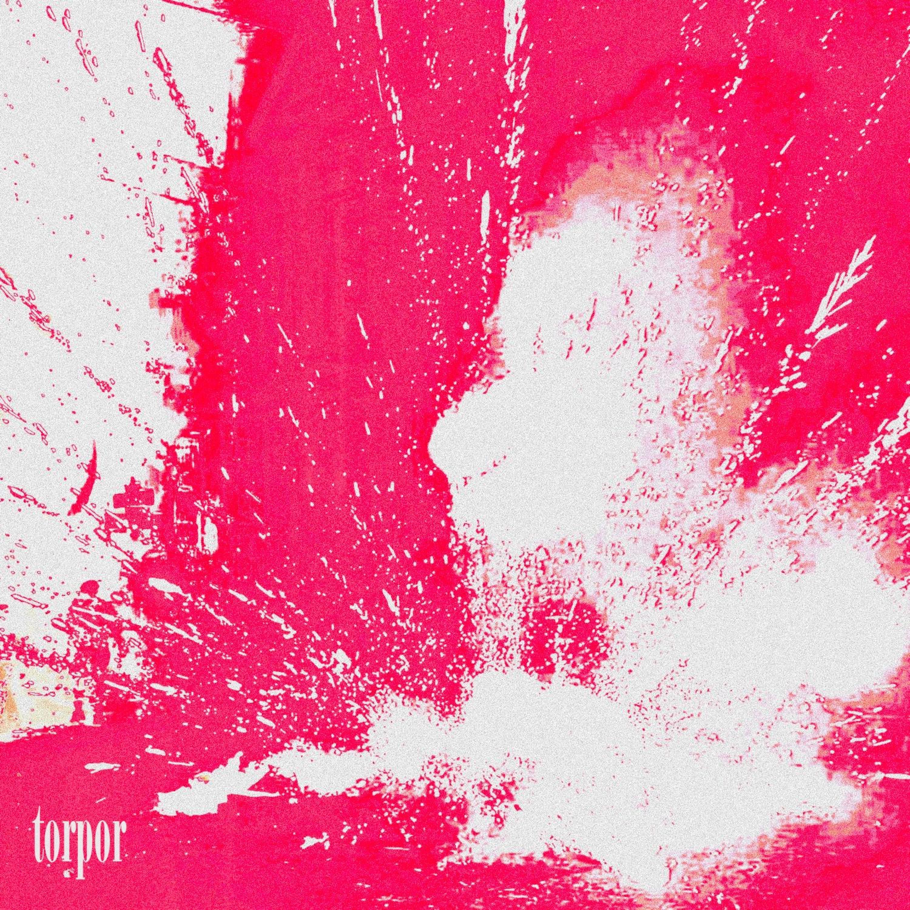 torpor - Single