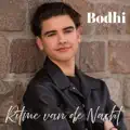 Ritme   van de  nacht