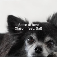 Spice of love (feat. SaB) - Single - Olasoni