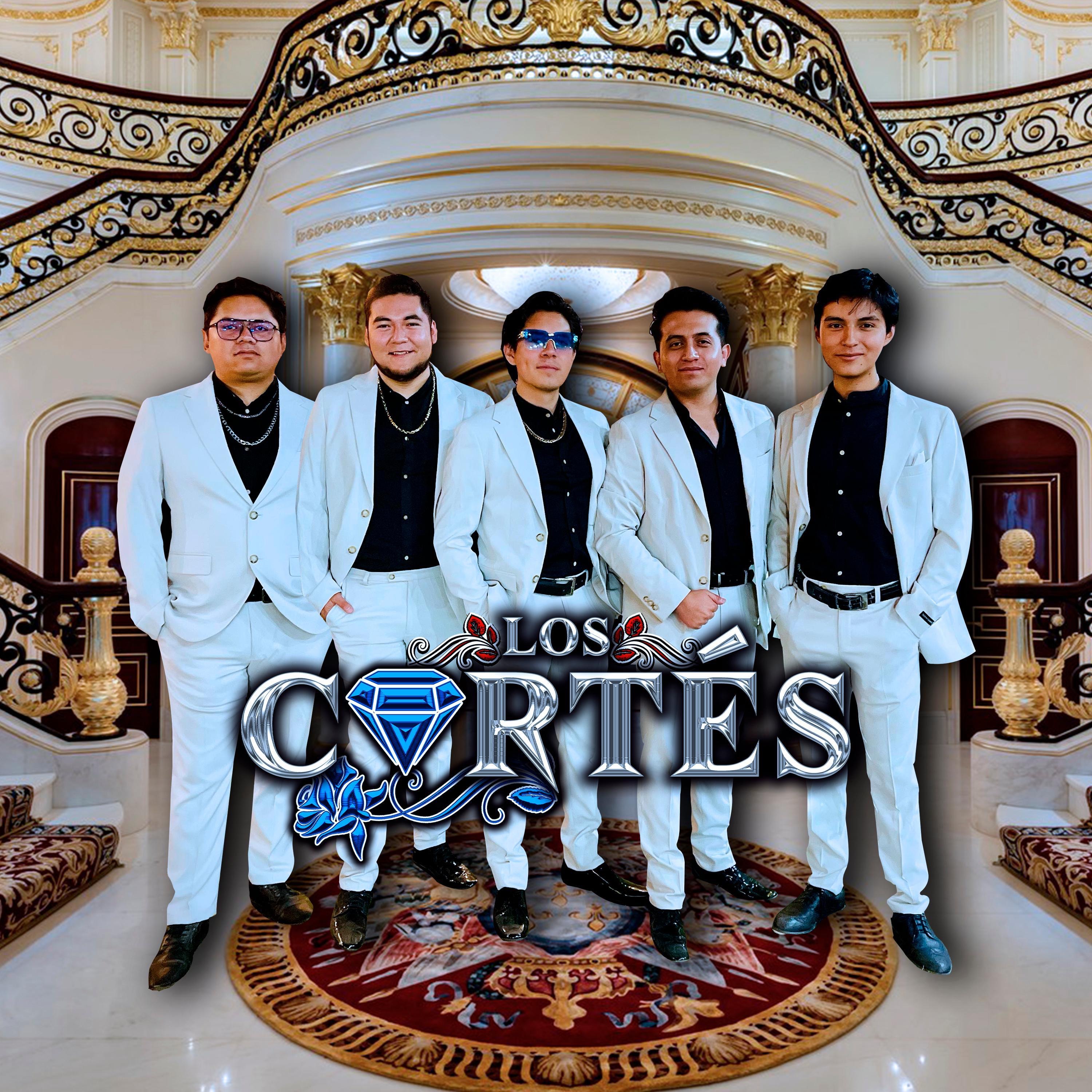 No Tengo Mas Que Una Canción (cover) - Single