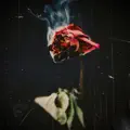 Love You Anymore (feat. Seven)