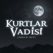 Kurtlar Vadisi (Remix)