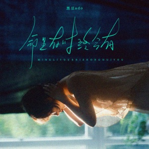 命里有时终会有 - Single