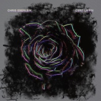 C'est La Fin Remix - Single - Chris Eberlein