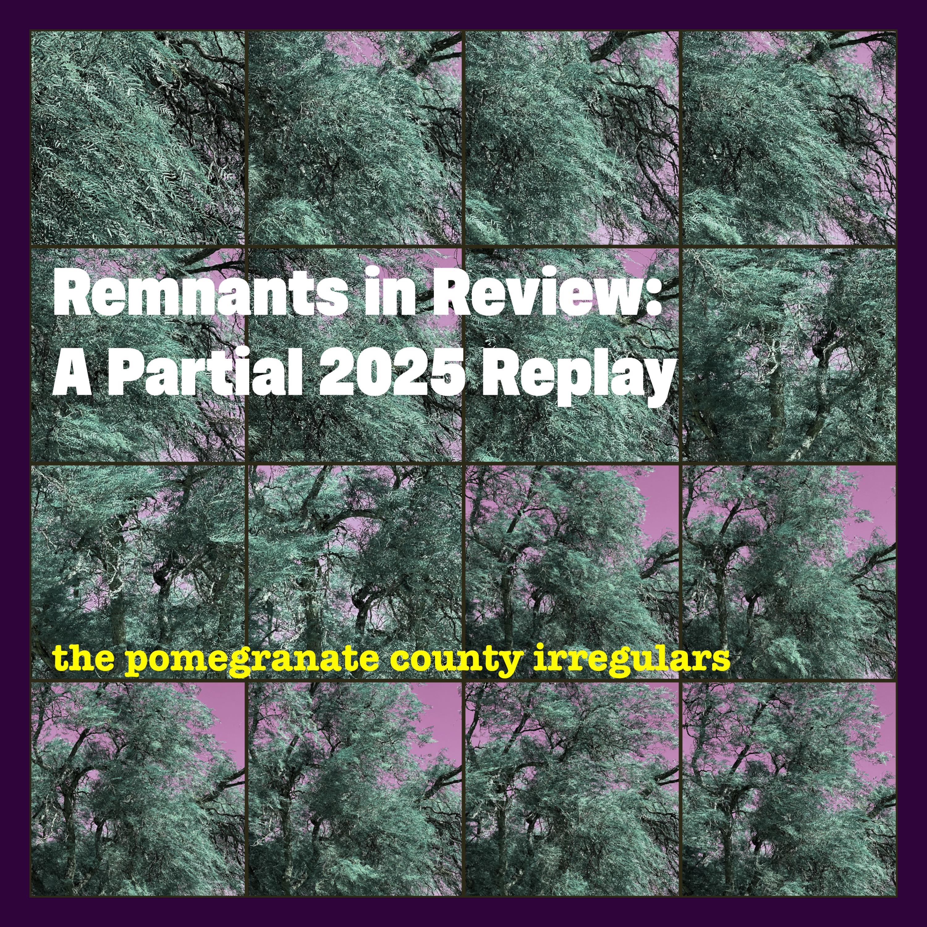Remnants In Review: A Partial 2025 Replay