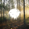 The Woods Between Us - Single