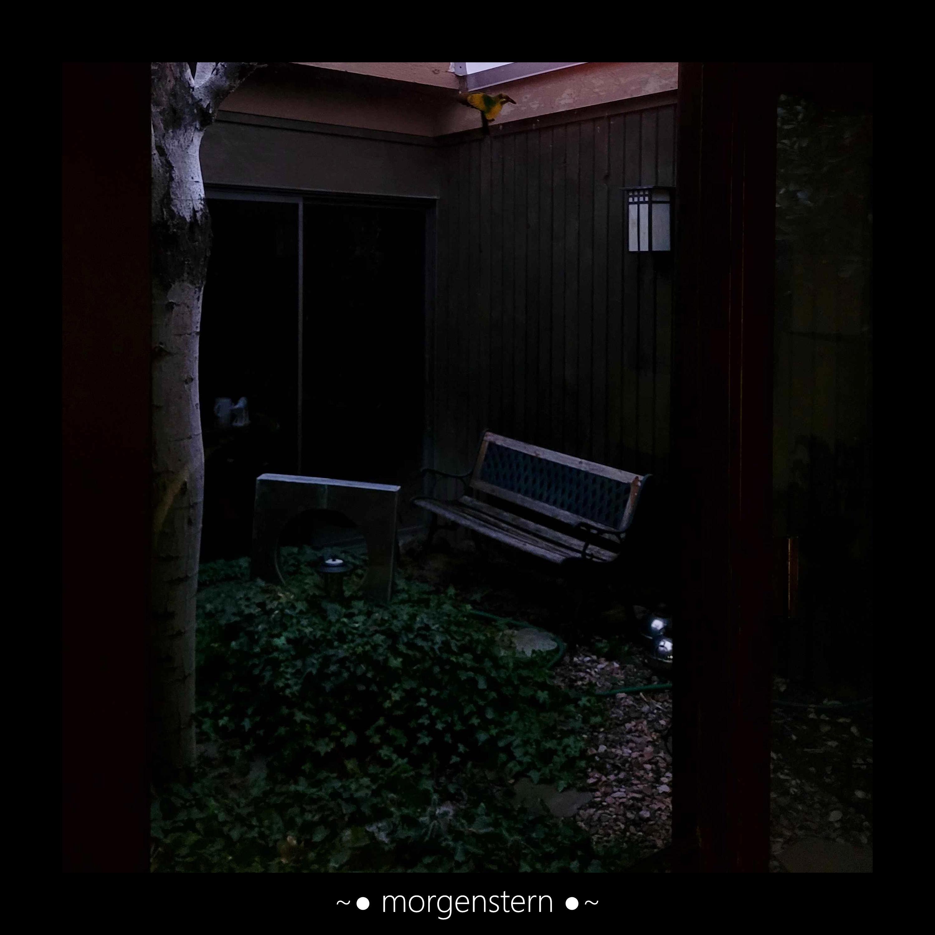 morgenstern