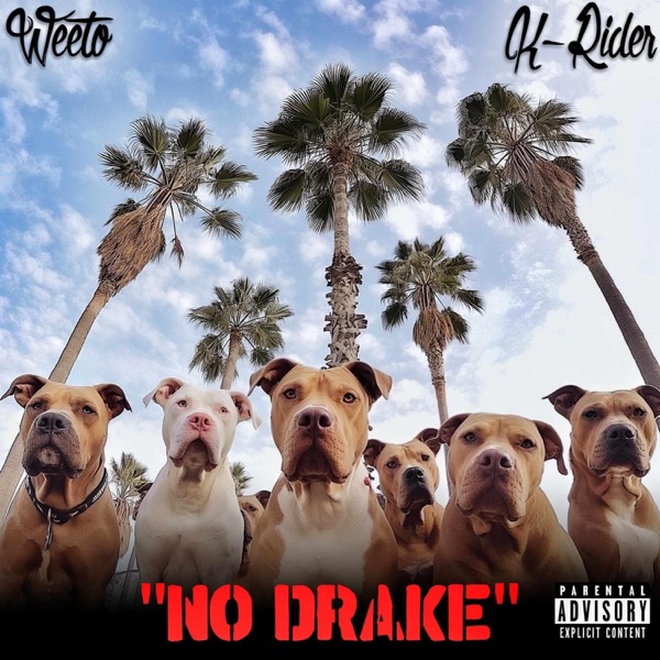 NO DRAKE (feat. K Rider)