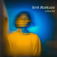 Soul Madness - Single - LMental