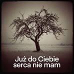 Już do Ciebie serca nie mam (feat. Krystyna Konarska) - Single
