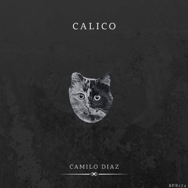 Calico - Single