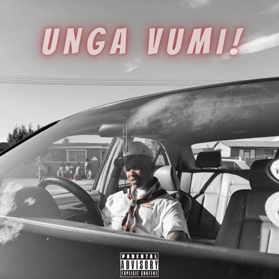 UNGA VUMI (feat. DJ Mnikisto) - Single