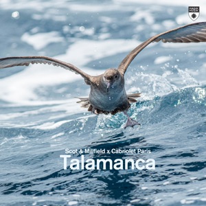 Talamanca - Single