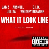 What It Look Like (The Ladies' Edition) (feat. Abskull, D.I.D., Julisa & Whitney Breanne) - Single - JAMZ