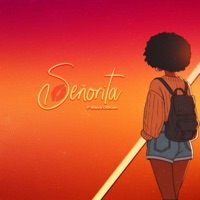 Señorita - Single - P Steve Officiel
