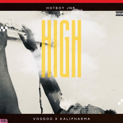 High (feat. Voodoo & Kalipharma) - Single