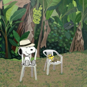 Debí Tirar Mas Fotos (Bad Bunny)