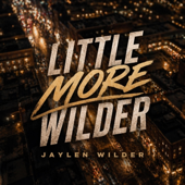 LITTLE MORE WILDER song art