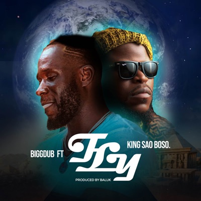 Fly (feat. King Sao Boso) - Single