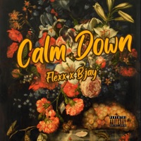 Calm Down (feat. B'Jay) - Single - FLEXX LS7