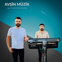 Halay 2025 (feat. Avşin Müzik) - Fırat Production