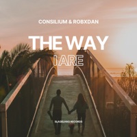 The Way I Are (Techno Remix) - Single - Consilium & RobxDan