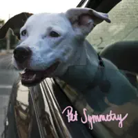 Please Don't Tell My Father That I Used His 1996 Honda Accord To Destroy The Town Of Willow Grove Pennsylvania in 2002 — Pet Symmetry