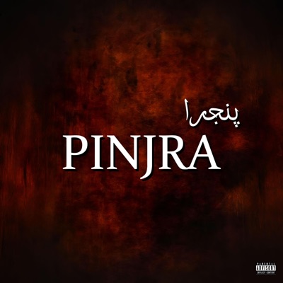 Pinjra - Single